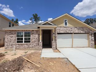 Polo - Pinewood At Grand Texas: New Caney, Texas - M/I Homes