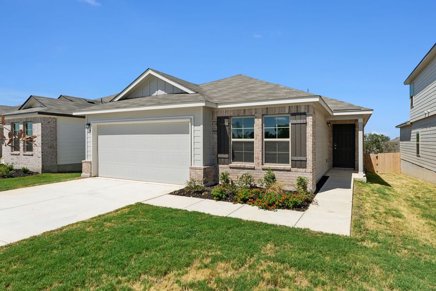 6239 Desert Aloe (Cameron)