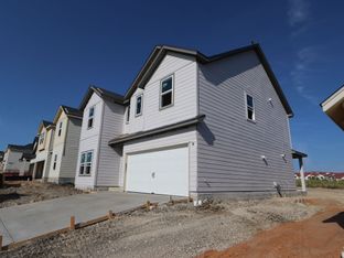 Sheldon - Cascades At Onion Creek: Austin, Texas - M/I Homes