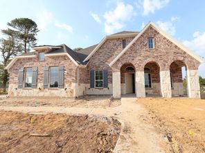 21002 Yellow Ipe Grove Court (Angelina)