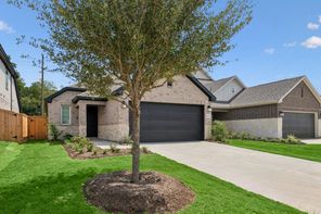 21438 Jacaranda Blossom Way (Boxwood)