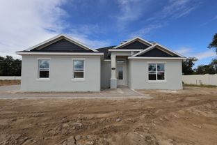 Corina Xl Sl - Willow Run: Apopka, Florida - M/I Homes