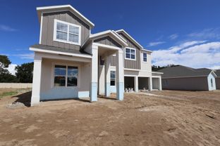Lake Star - Willow Run: Apopka, Florida - M/I Homes