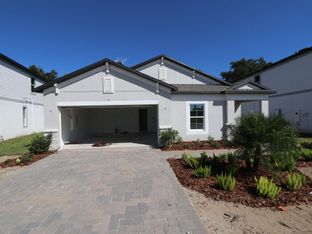 Meridian - Hilltop Point: Dade City, Florida - M/I Homes