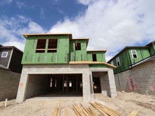 Castellana - Cobblestone: Zephyrhills, Florida - M/I Homes