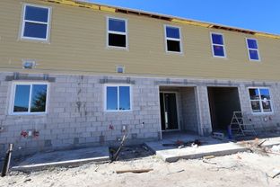 San Miguel - Tyson Ranch: Orlando, Florida - M/I Homes