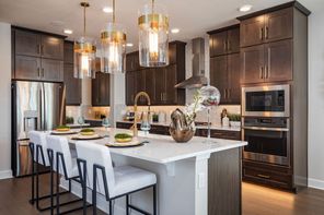 17426 Glossy Pomelo Way (Lake Star)