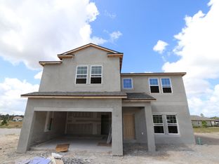 Alenza - Avalon West: Spring Hill, Florida - M/I Homes