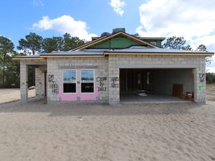 Picasso Bonus - Avalon West: Spring Hill, Florida - M/I Homes