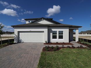Picasso Bonus - Anderson Snow Estates: Spring Hill, Florida - M/I Homes