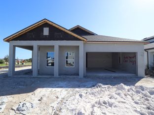 Newport II - Chapel Crossings: Wesley Chapel, Florida - M/I Homes