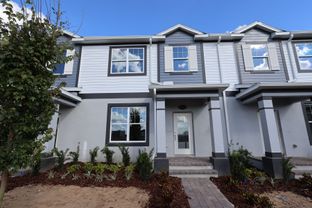 Rutland - Tribute At Ovation: Winter Garden, Florida - M/I Homes