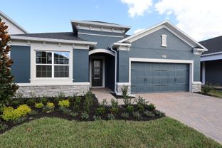Piedmont - Estates At Rivercrest: Sanford, Florida - M/I Homes