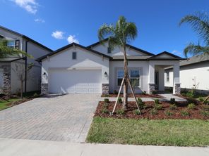 5595 Freesia Drive (Picasso)