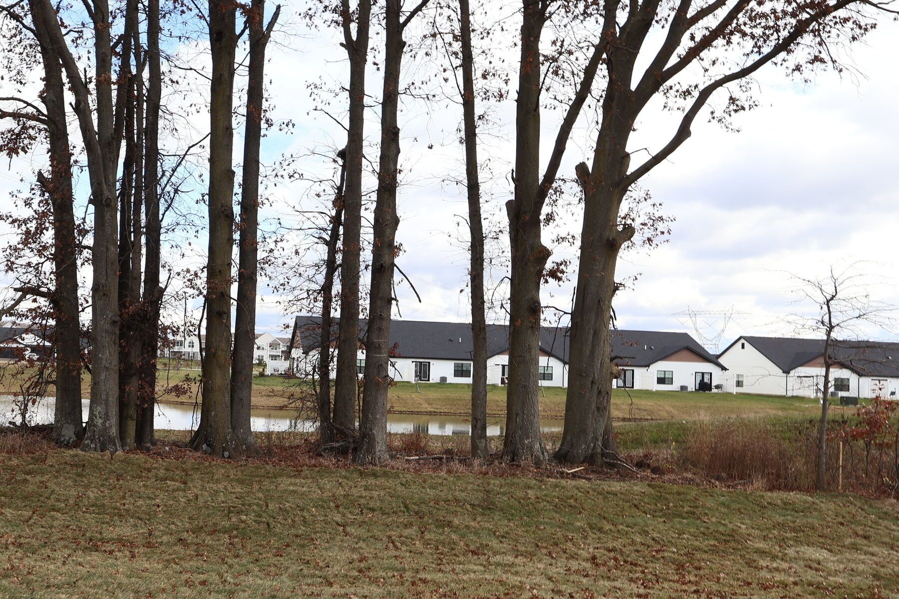 6445 White Star Drive (Bexley)