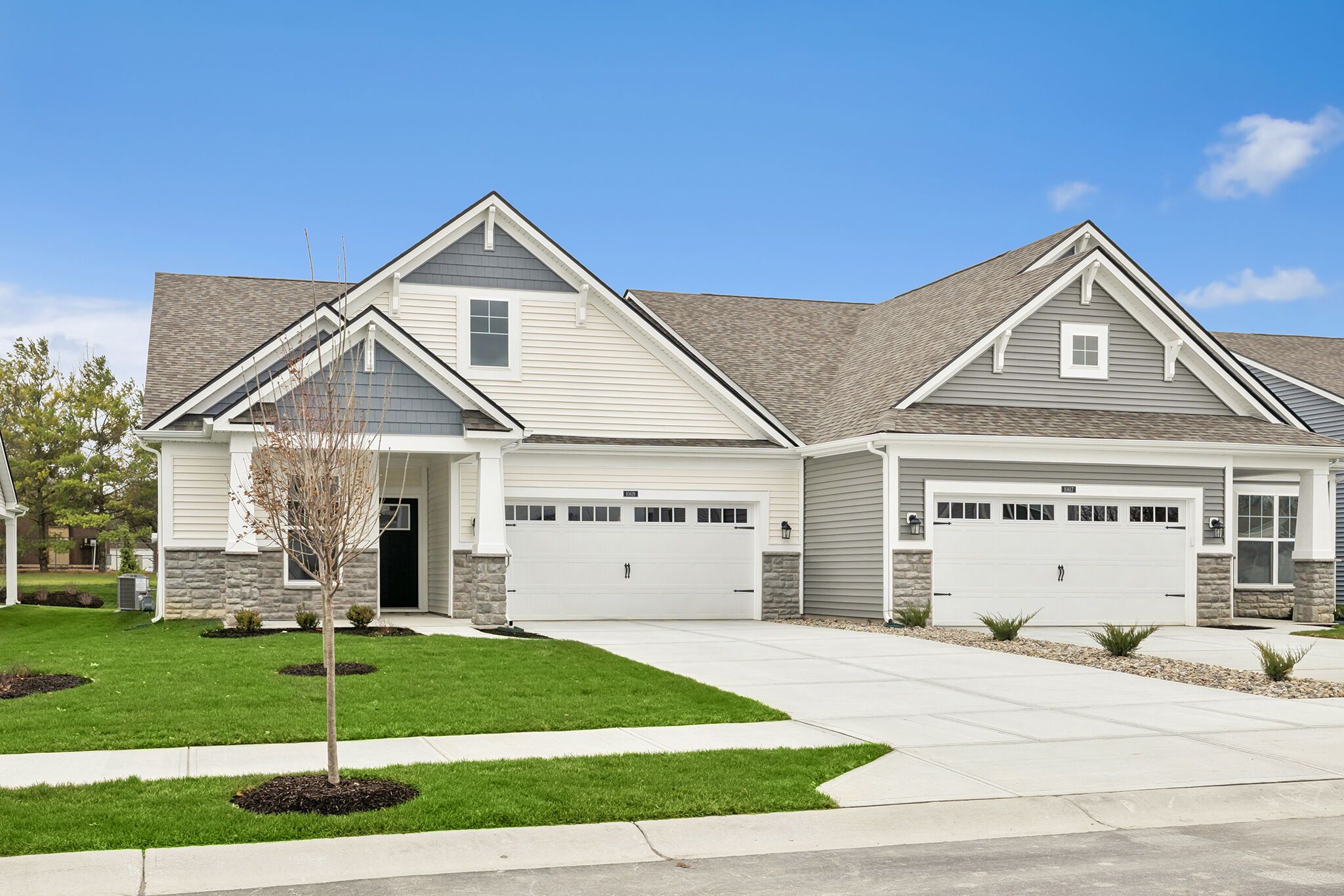 10619 Mangrove Drive