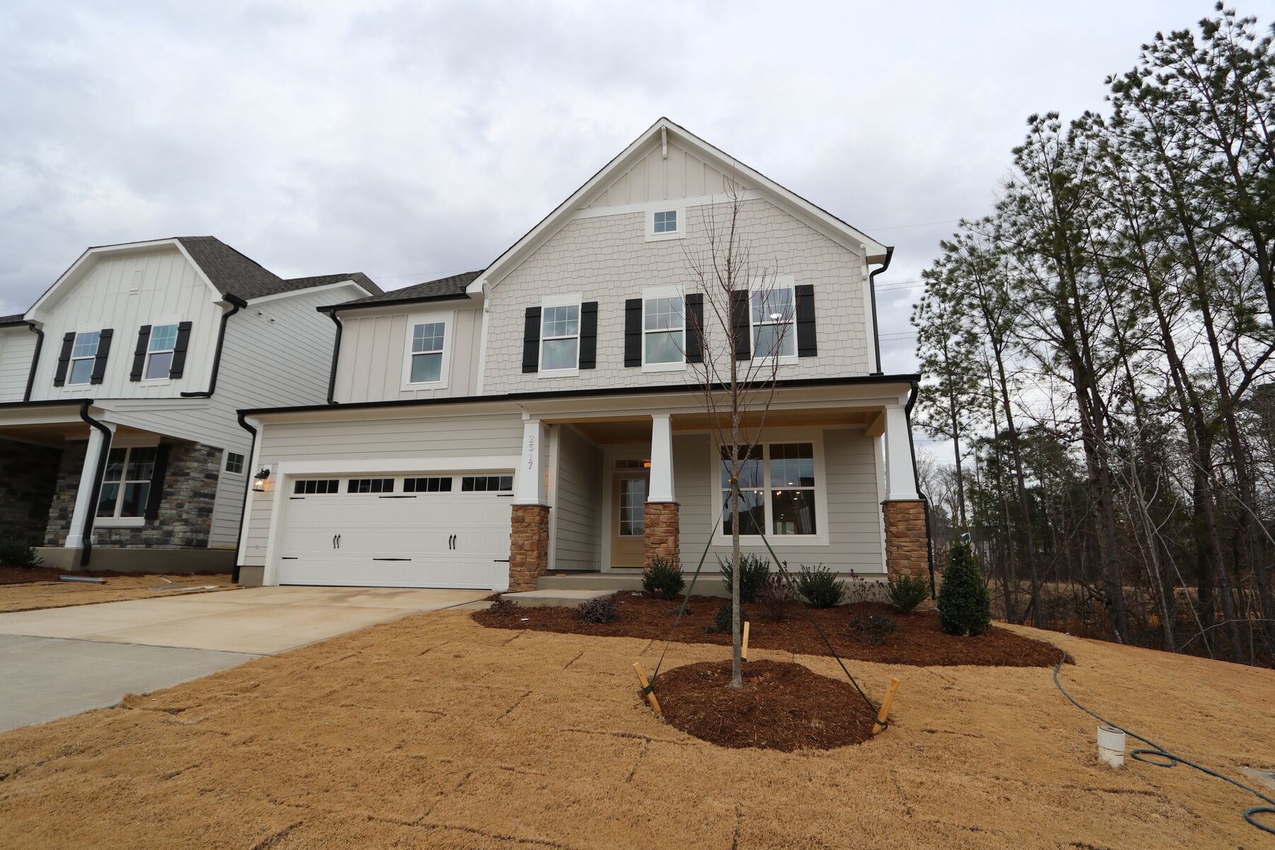 2317 Bee Orchard Street (Beech)