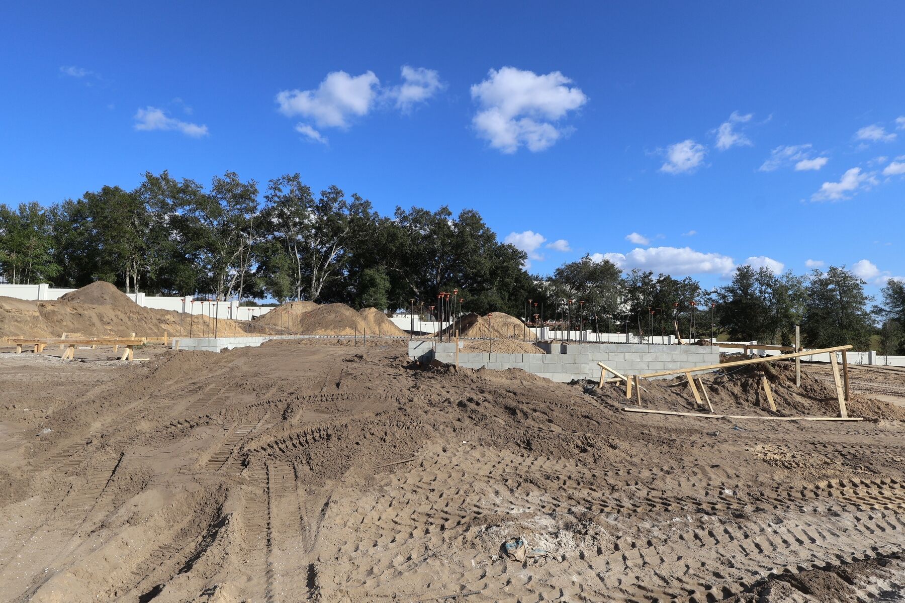 Glenwood - Wolf Lake Ranch: Apopka, Florida - M/I Homes