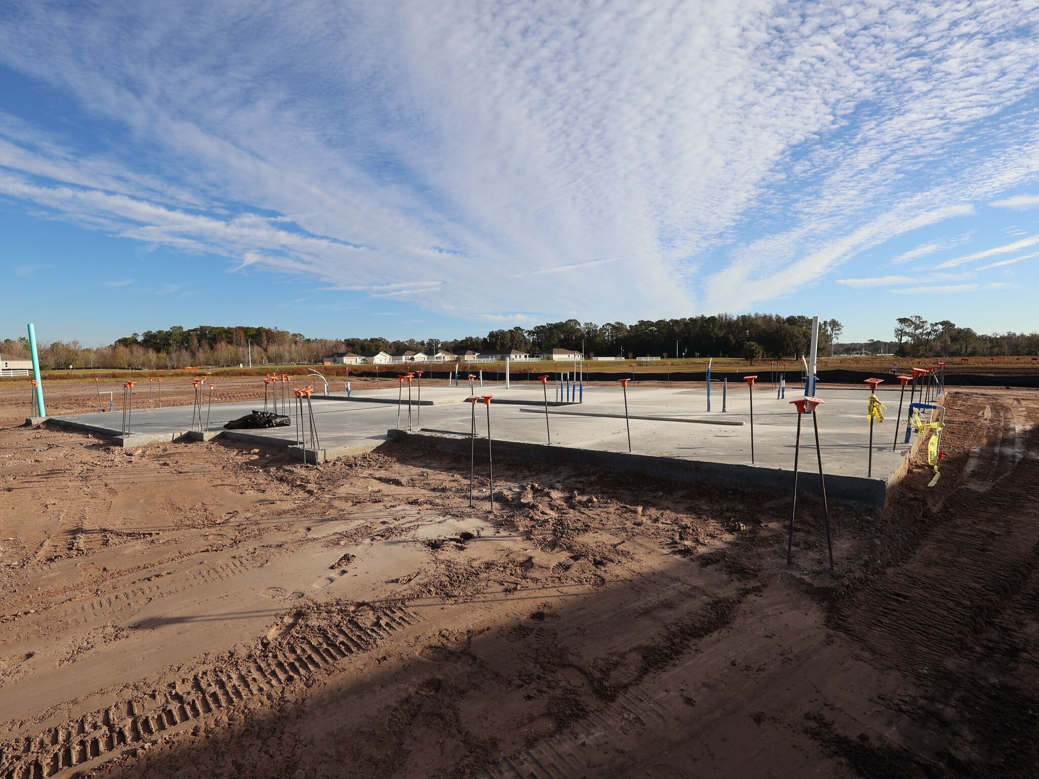 8479 Fox Den Cove (Oasis)