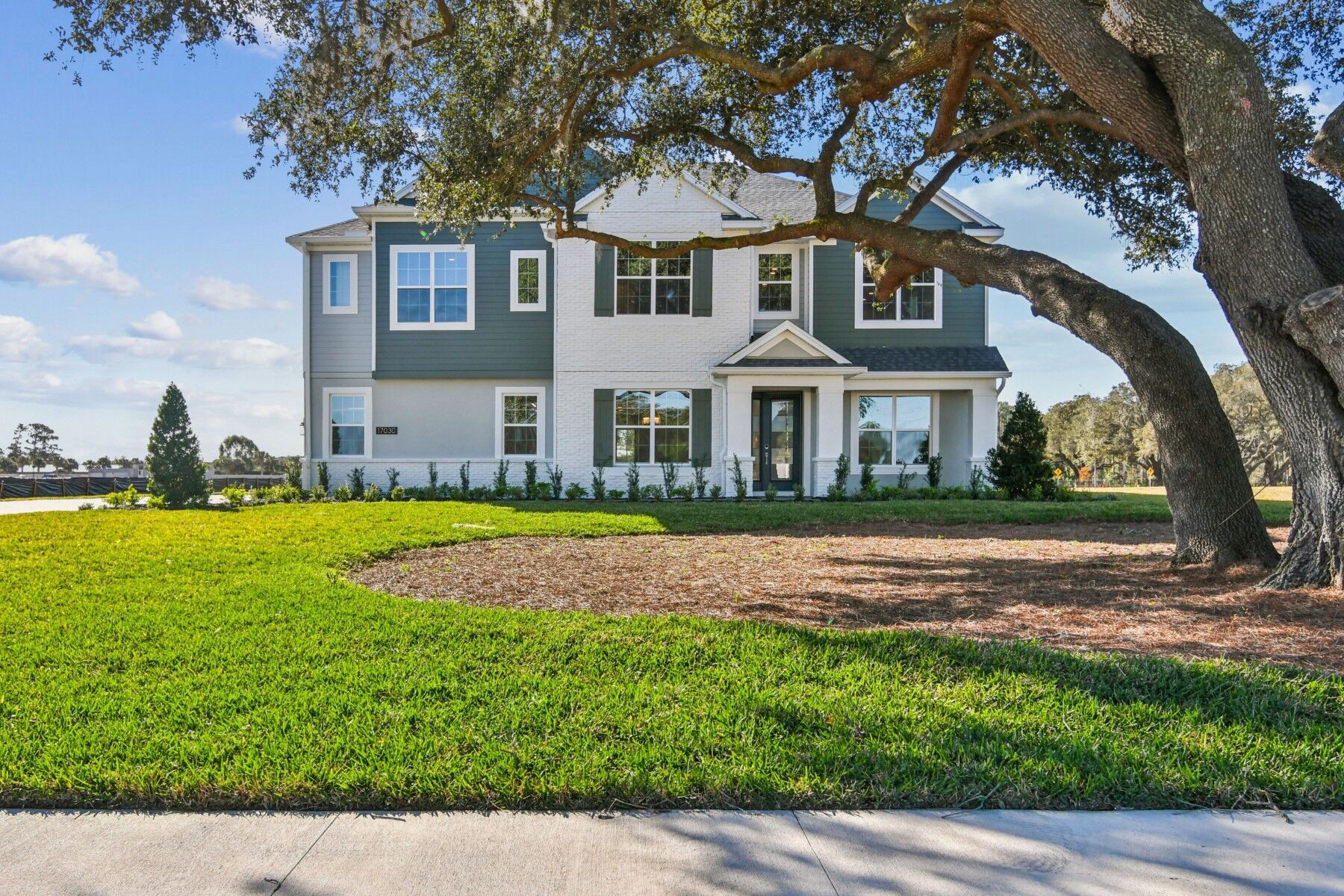Grandview Sl - Solace at Corner Lake: Orlando, Florida - M/I Homes