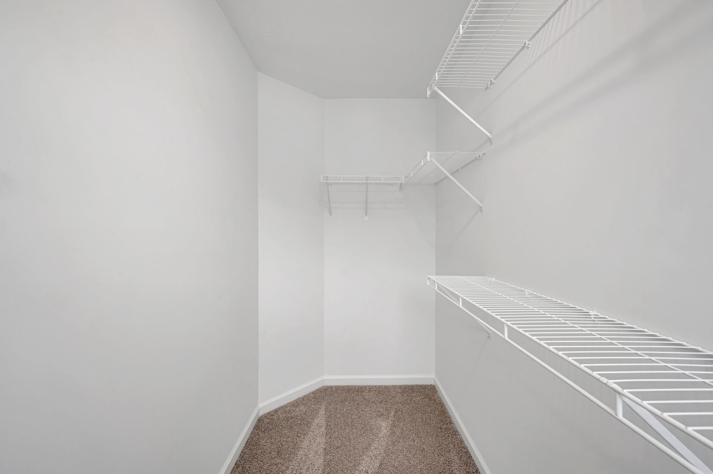 Owner's Closet