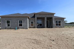 3555 Wolves Creek Place (Brookhaven Sl)