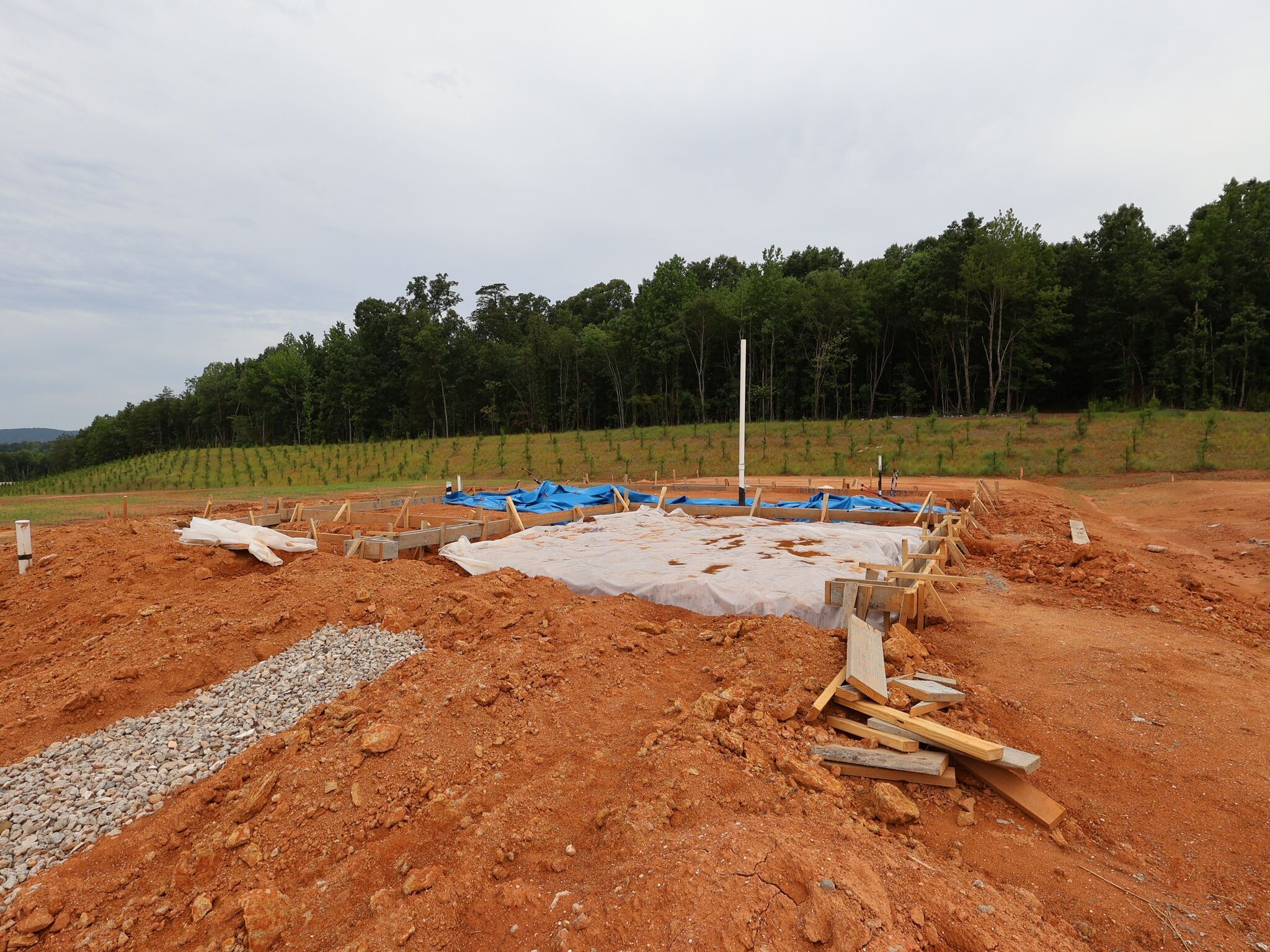 Homesite