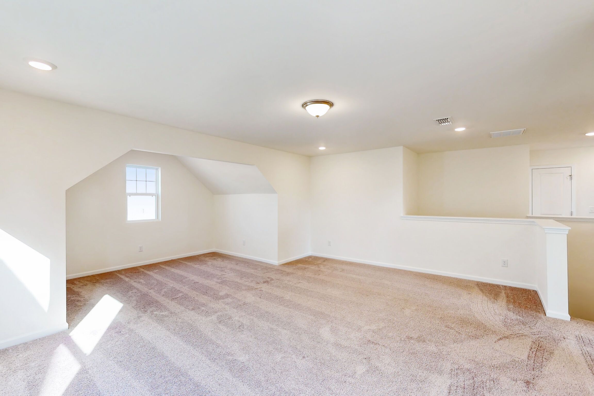 Bonus Area - Representational Photo