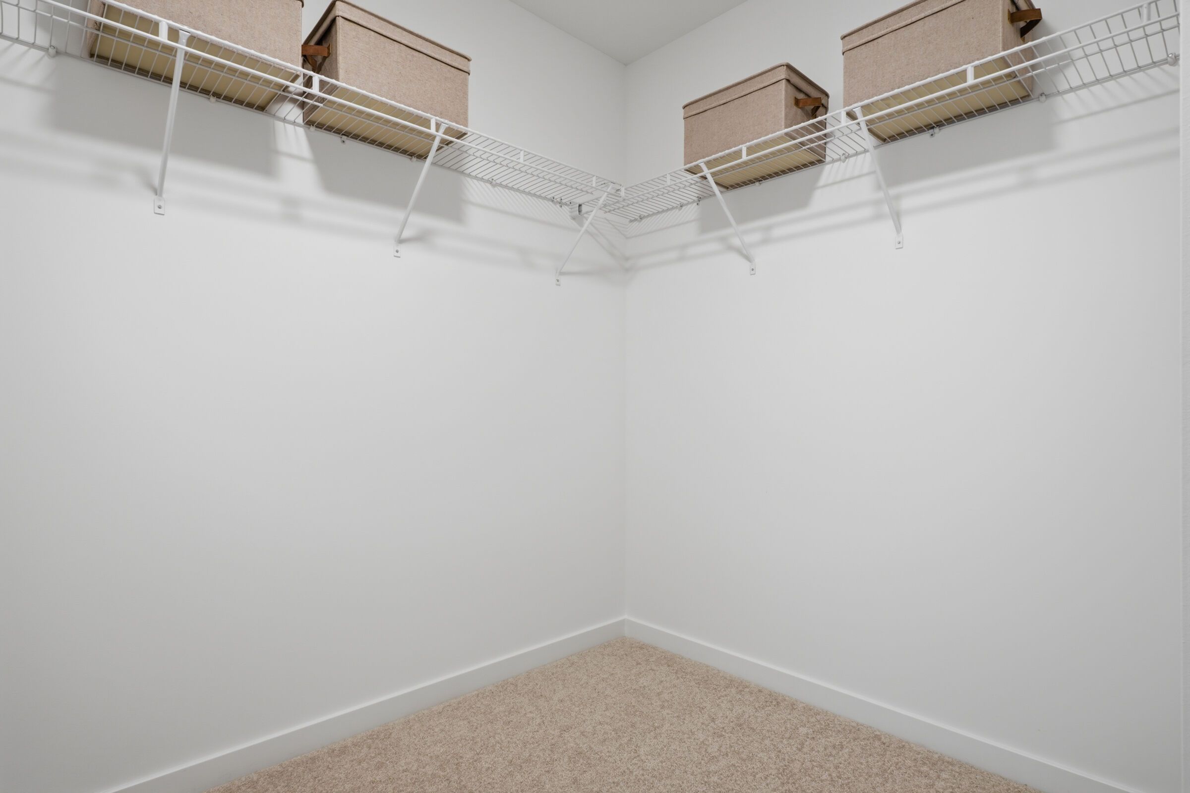 Owner's Closet