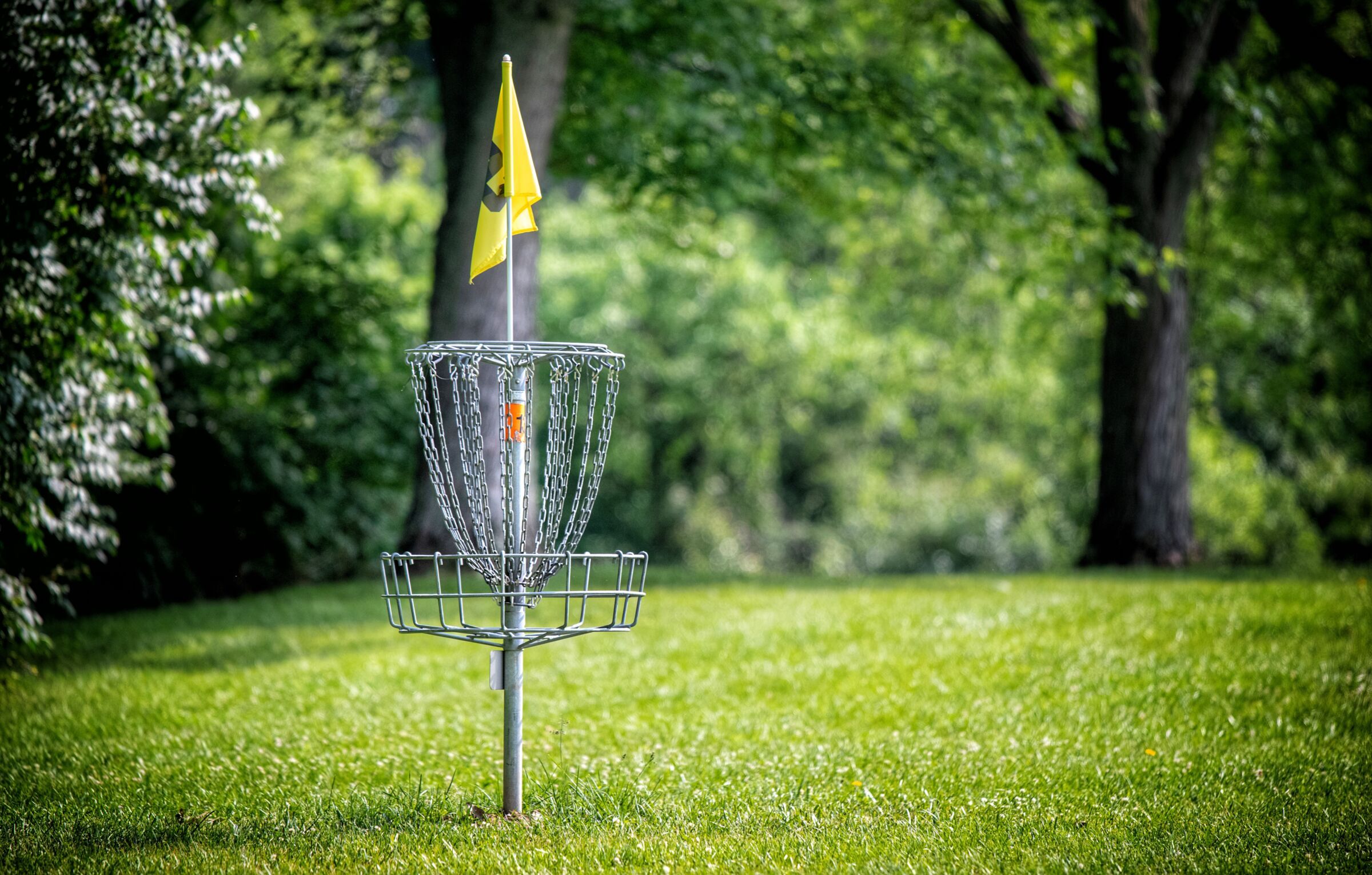 Disc Golf