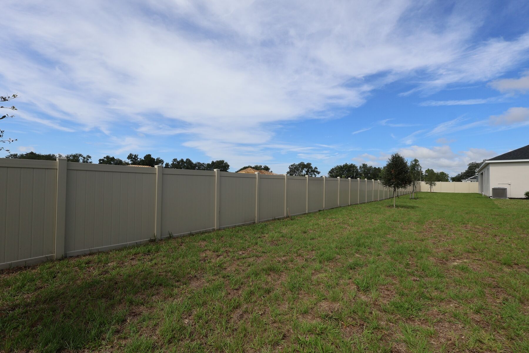Corina Xl Sl - Willow Run: Apopka, Florida - M/I Homes