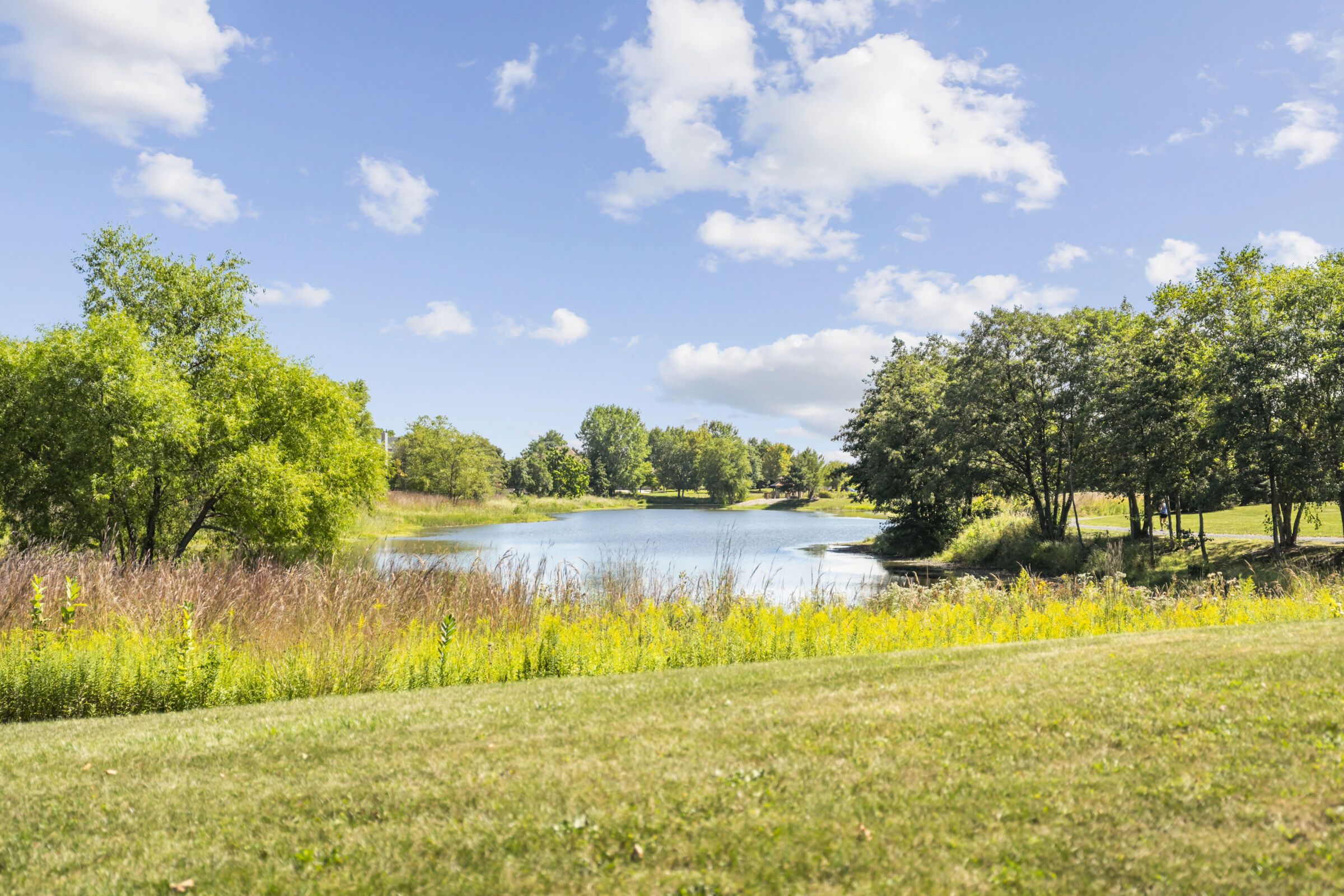Area Amenity