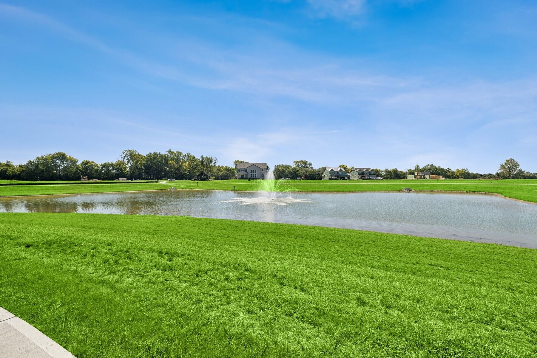Pond