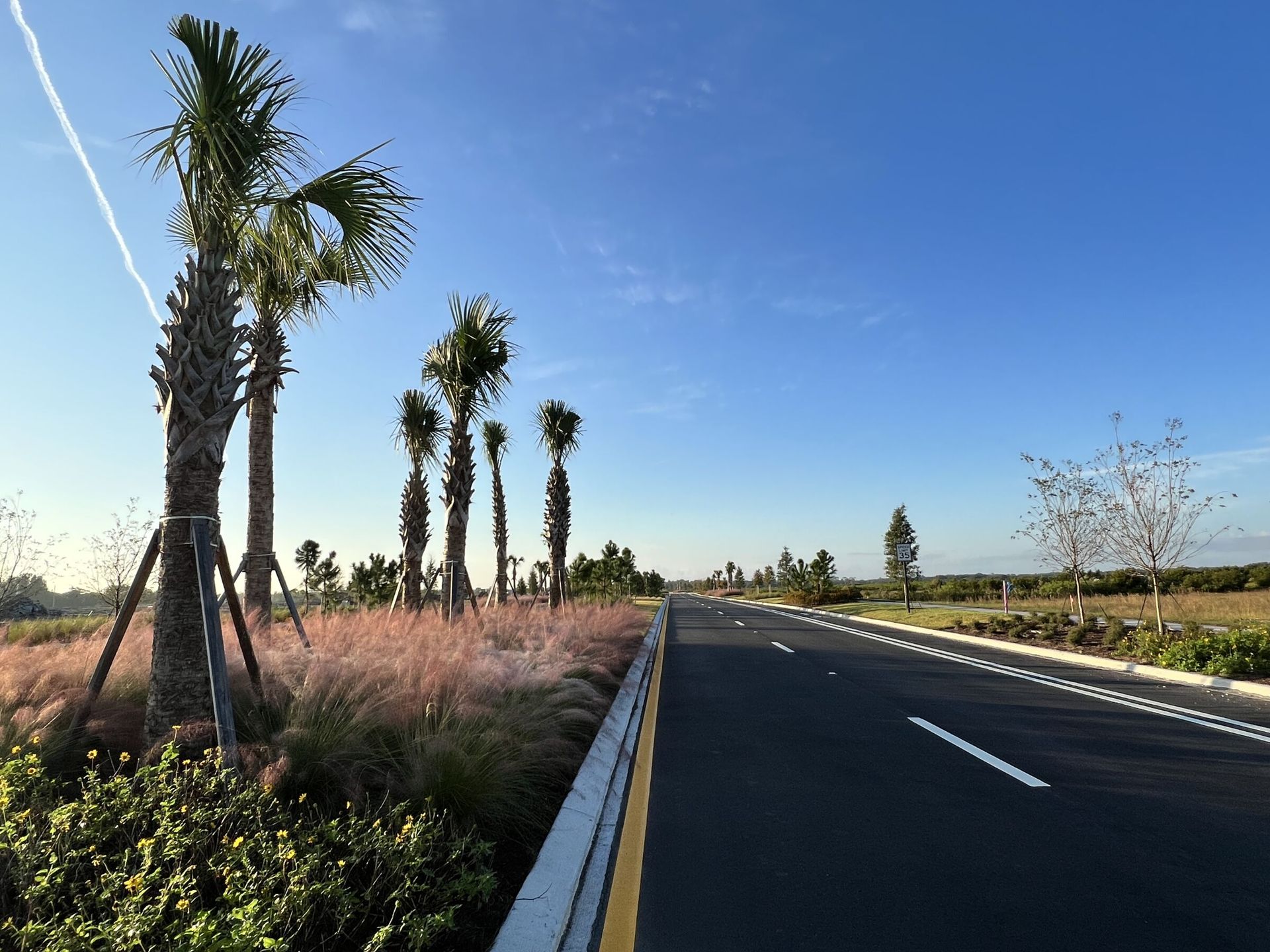 Streetscape