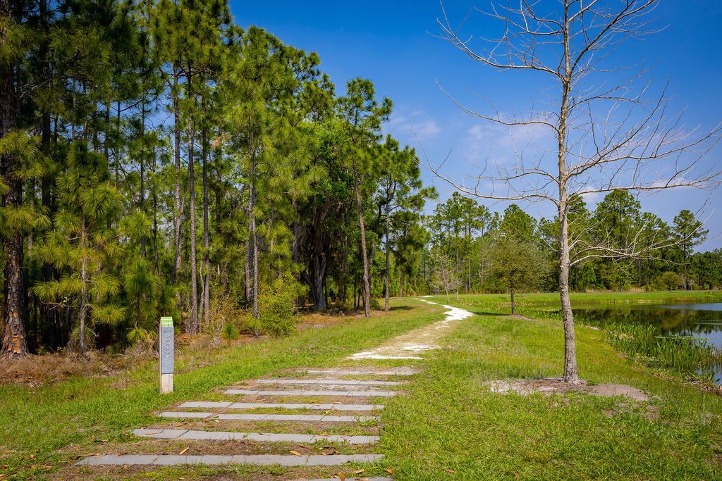 Trails