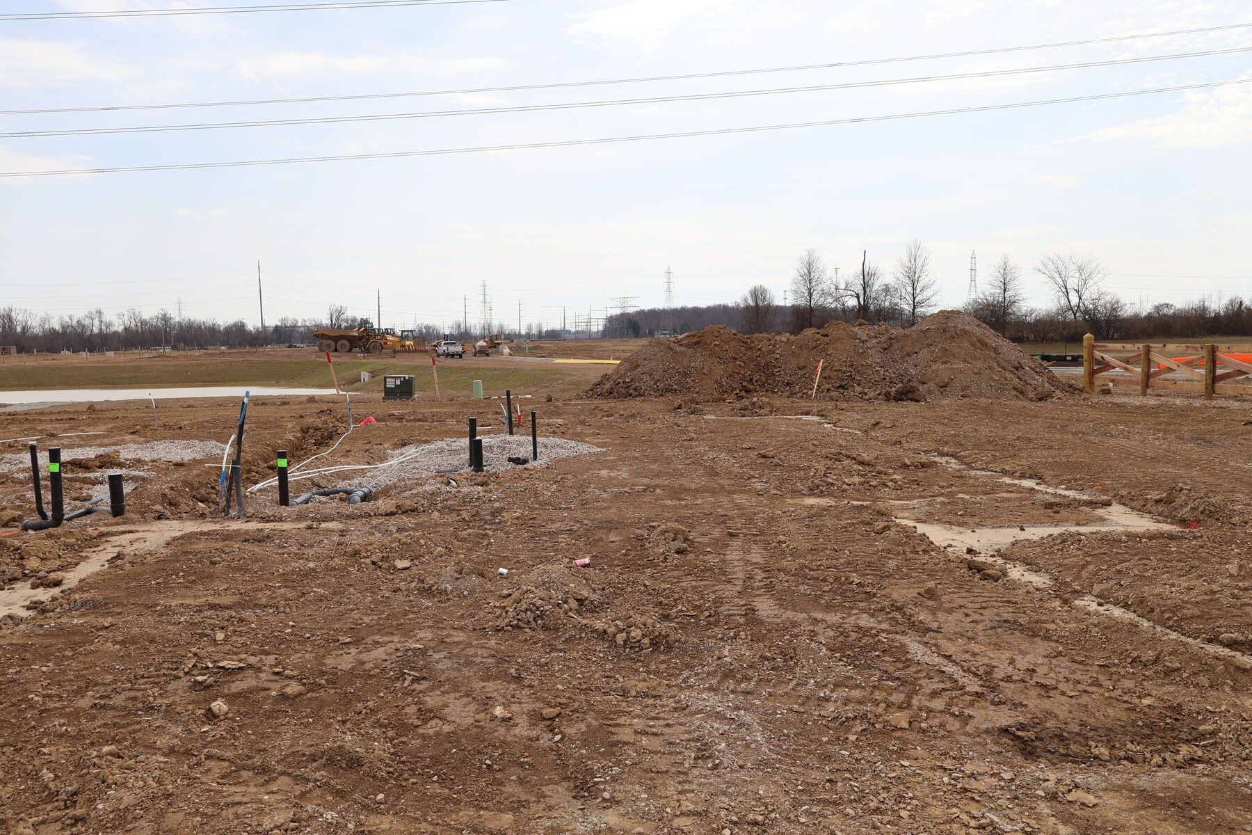 Homesite