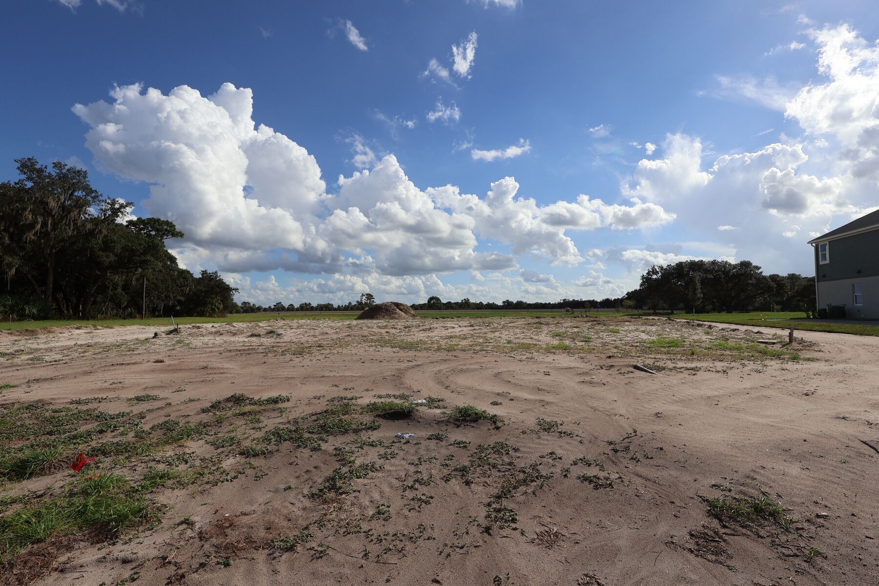 Homesite
