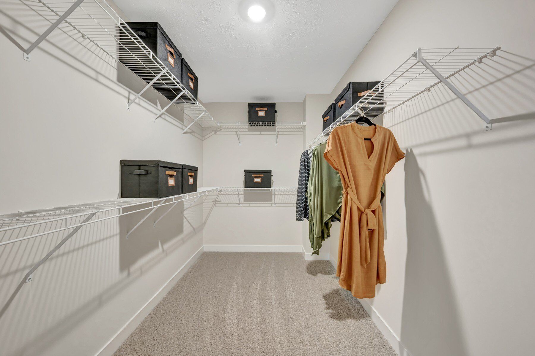 Owner's Closet