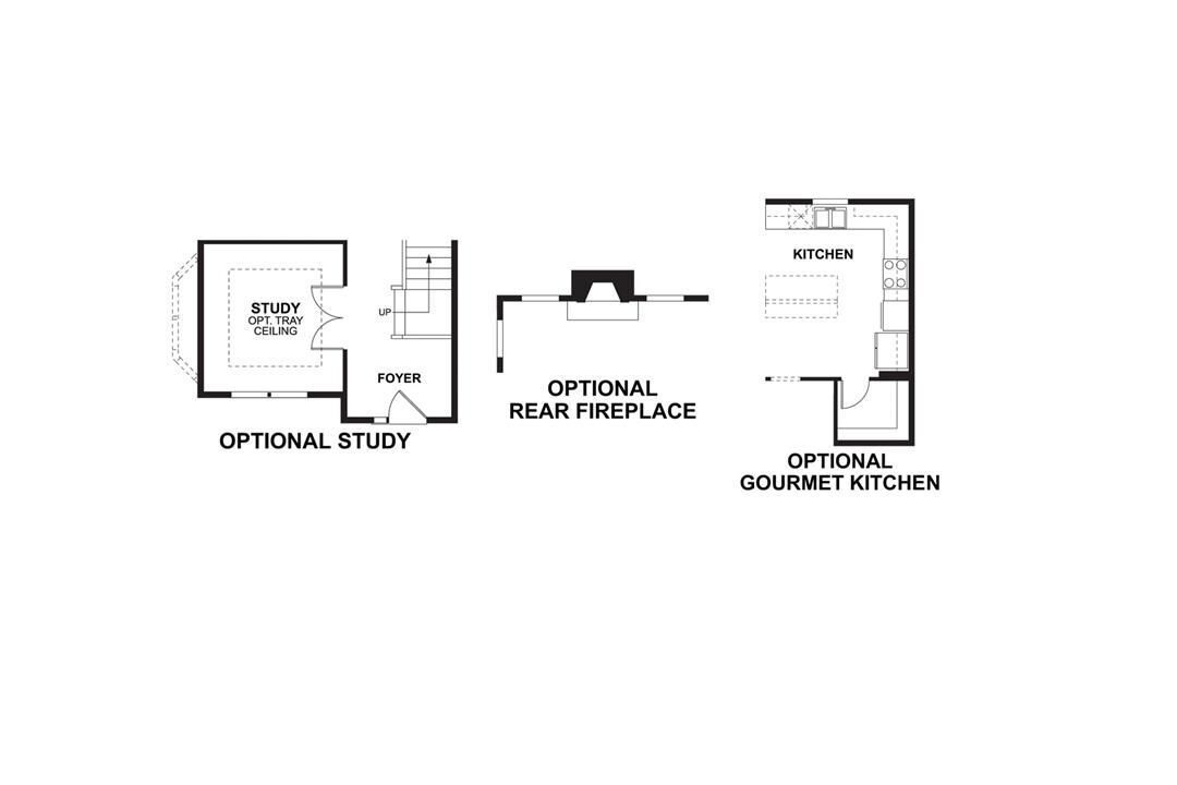 First Floor Options