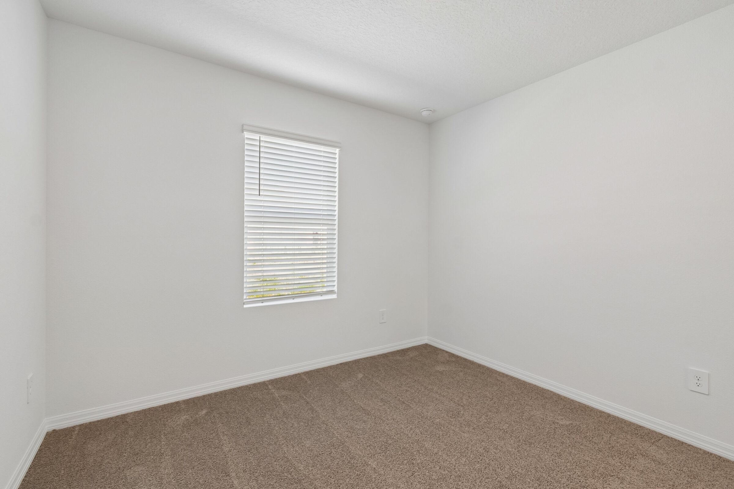 Bedroom - Representational Photo