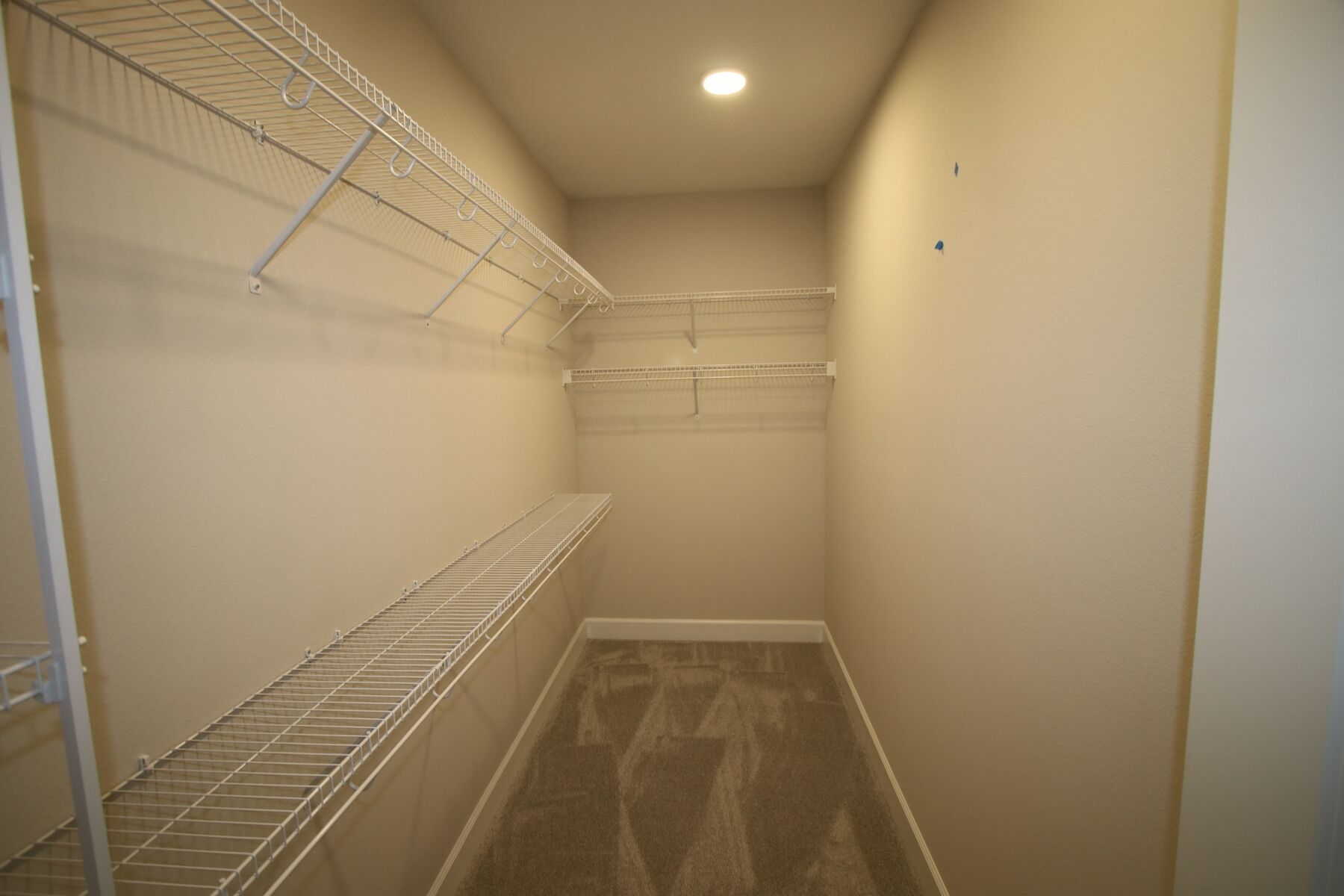 Owner's Closet