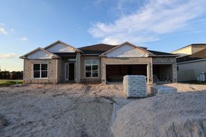 17007 Overstory Road (Brookhaven Fl)
