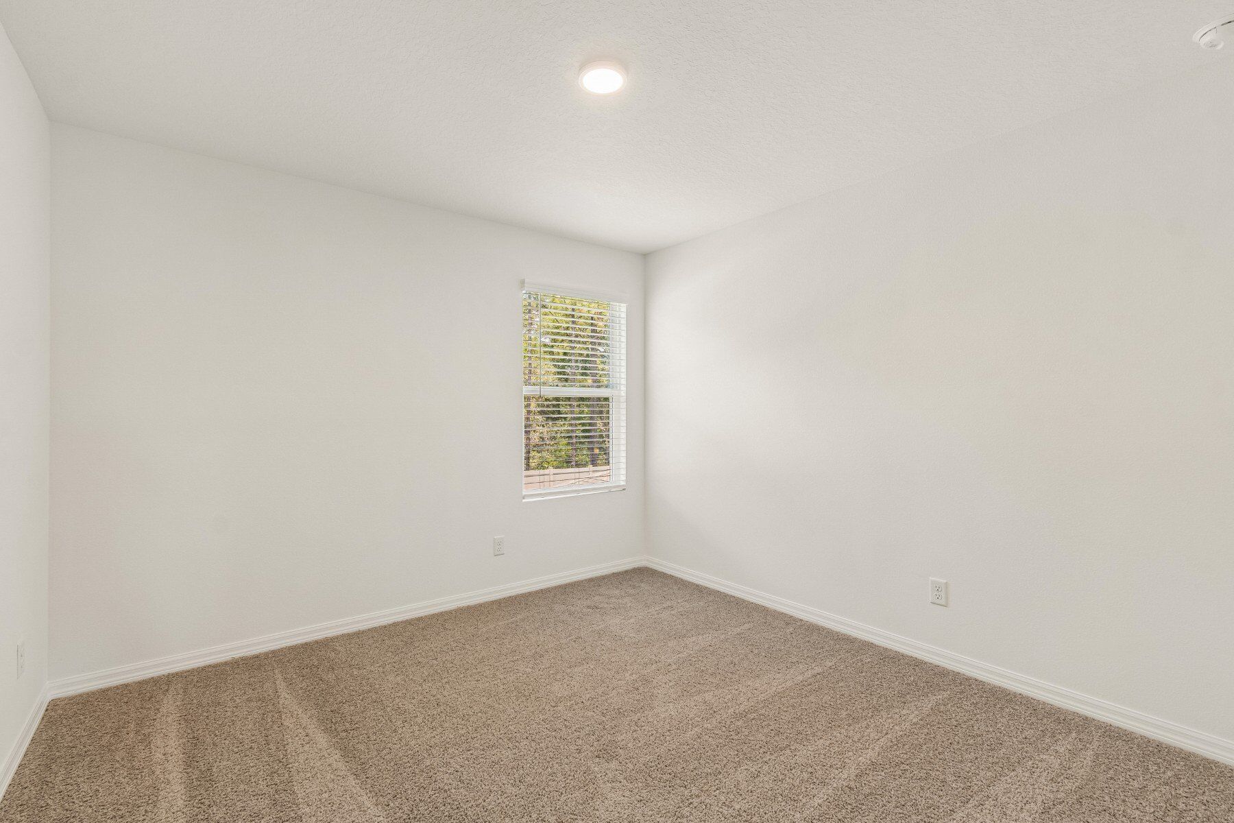 Bedroom - Representational Photo