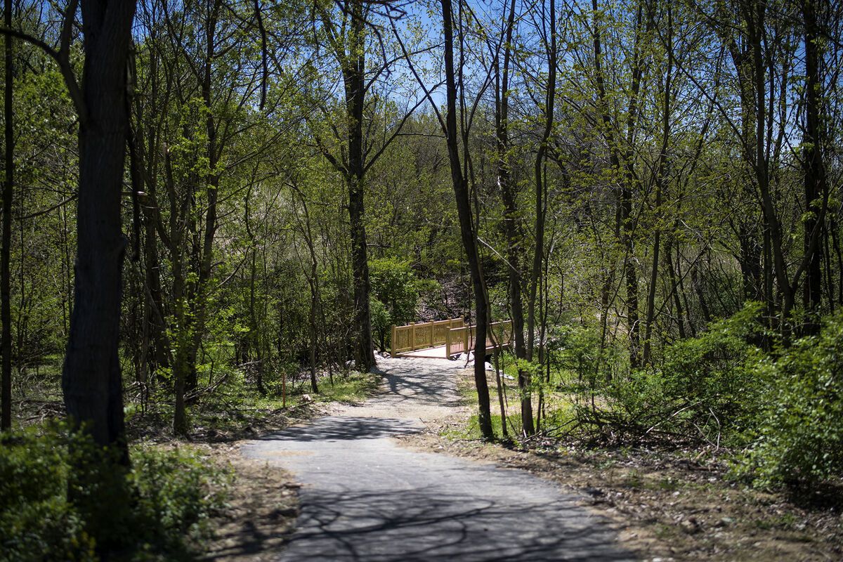 Walking Trails