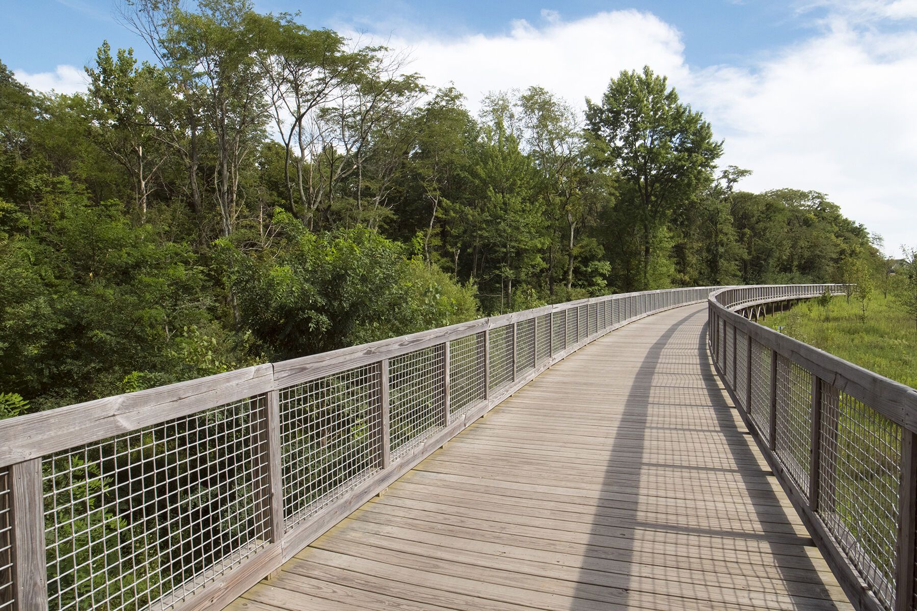 Pine Vail Estates Surrounding Area