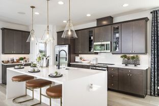 Wekiva - Lake Star At Ovation: Winter Garden, Florida - M/I Homes