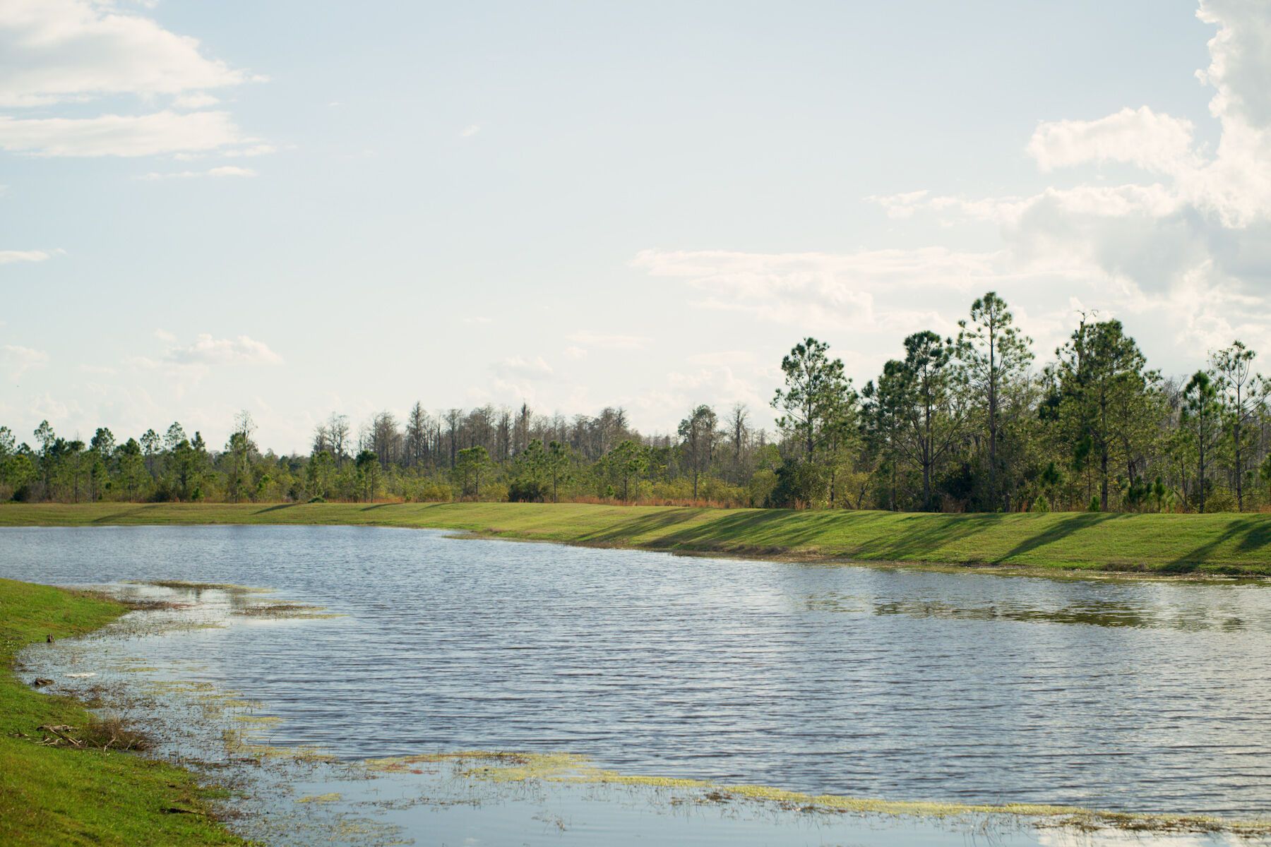 70368633-250425.jpg