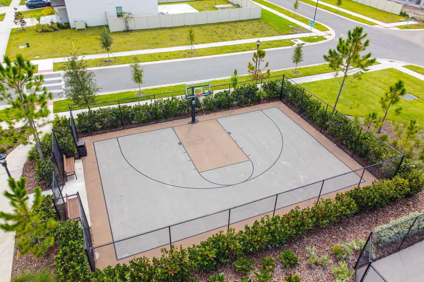 Basketball Court