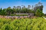 Berry Bay - Wimauma, FL