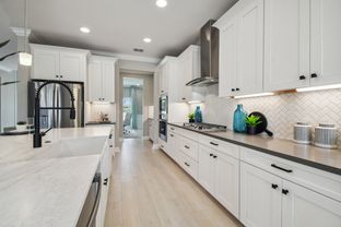 Coronado II - Shortgrass At Two Rivers: Zephyrhills, Florida - M/I Homes